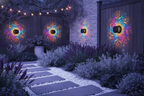 GloPetal solar lights glow softly at twilight in a garden with lavender and charcoal plants and white pathways.